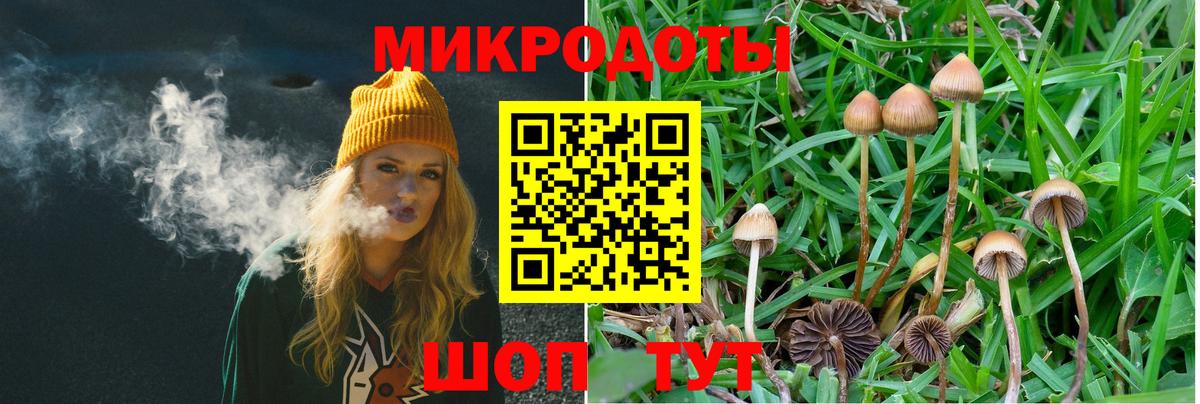 Галлюциногенные грибы Magic Shrooms Родники