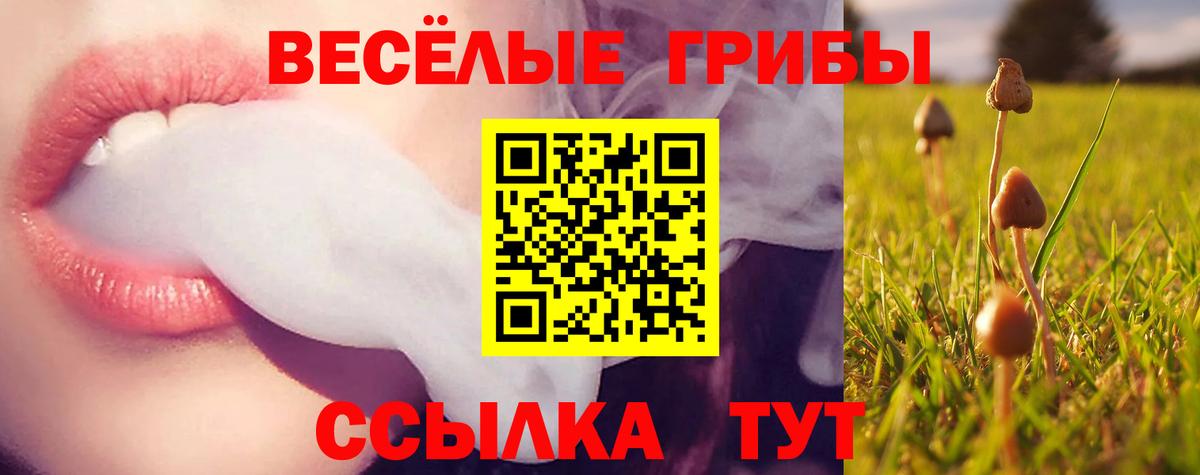 Родники  Галлюциногенные грибы GOLDEN TEACHER  Вход с VPN 